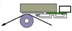 flathead